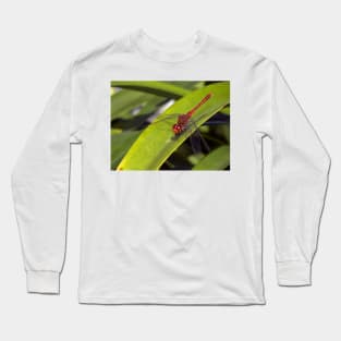 Red Dragonfly Long Sleeve T-Shirt